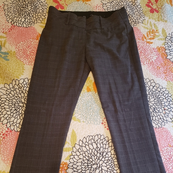 Maurices Grey I Am Smart Dress Pants 